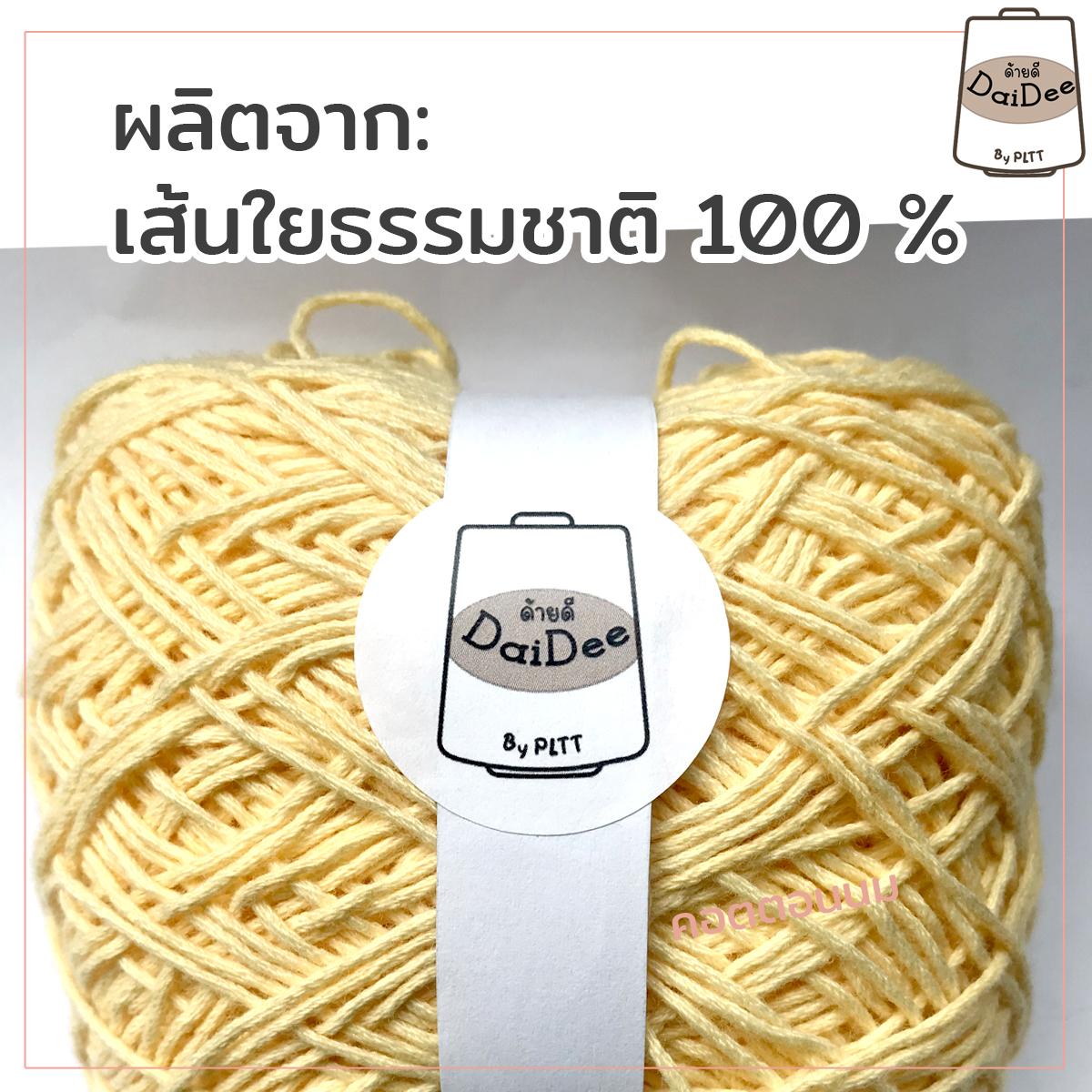 คอตตอนนม (Milk Cotton)